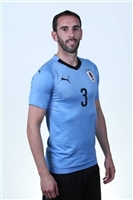 Diego Godin hoodie #3338344