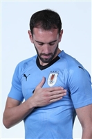 Diego Godin Sweatshirt #3338360