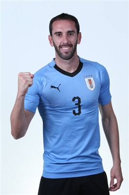 Diego Godin puzzle 3338369