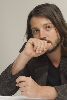 Diego Luna posters