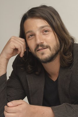 Diego Luna posters