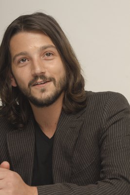 Diego Luna puzzle 2285478