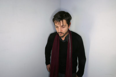 Diego Luna puzzle 2331065