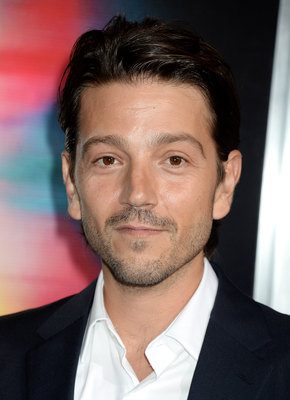 Diego Luna posters