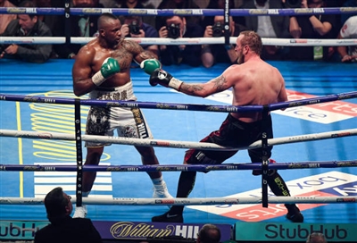 Dillian Whyte Poster 3593713