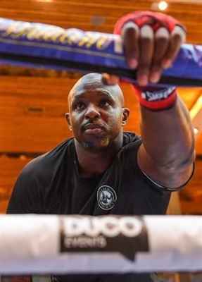 Dillian Whyte puzzle 3593716