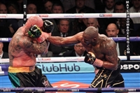 Dillian Whyte hoodie #3593748