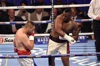 Dillian Whyte t-shirt #3593756