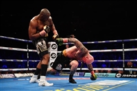 Dillian Whyte hoodie #3593759