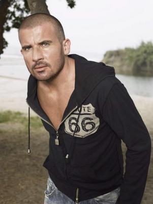 Dominic Purcell puzzle 2213697