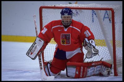 Dominik Hasek posters