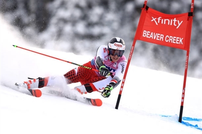 Dominik Raschner posters