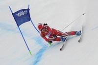 Dominique Gisin Tank Top #2371242