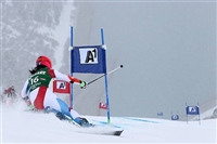 Dominique Gisin Tank Top #3639977