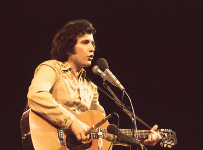 Don McLean puzzle 2517004