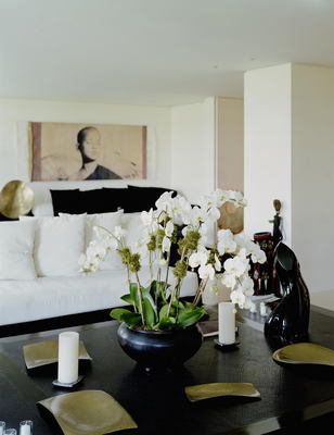 Donna Karan posters