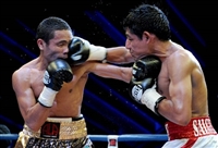 Donnie Nietes Sweatshirt #3580621