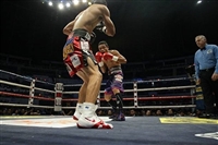 Donnie Nietes t-shirt #3580631
