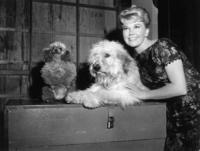 Doris Day mug #G912553