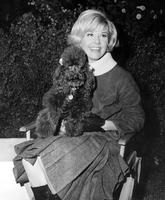 Doris Day mug #G912573