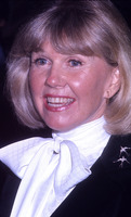 Doris Day Longsleeve T-shirt #2670521