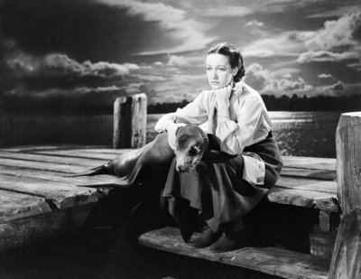 Dorothy Lamour posters