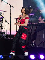 Dua Lipa Sweatshirt #3077008
