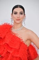 Dua Lipa longsleeve t-shirt #3838322