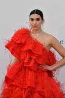 Dua Lipa Longsleeve T-shirt #3838383