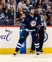 Dustin Byfuglien mug #G1773619