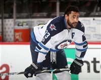 Dustin Byfuglien mug #G1773623