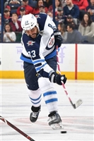 Dustin Byfuglien mug #G1773762
