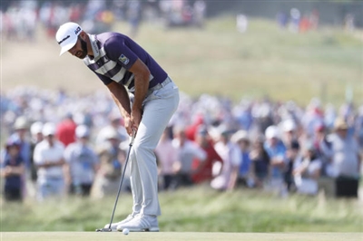 Dustin Johnson posters