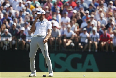 Dustin Johnson posters