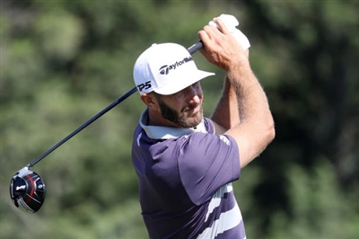 Dustin Johnson posters