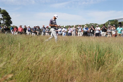 Dustin Johnson posters