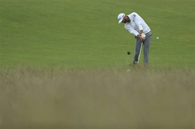 Dustin Johnson posters