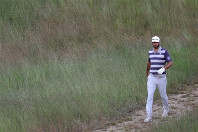 Dustin Johnson posters