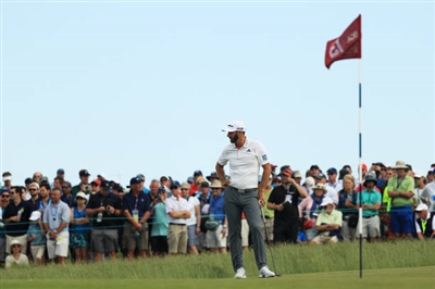 Dustin Johnson posters