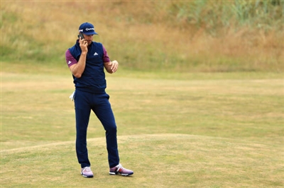Dustin Johnson posters