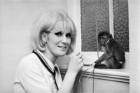 Dusty Springfield Sweatshirt #2595778