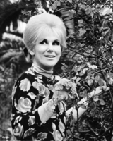 Dusty Springfield tote bag #G837938