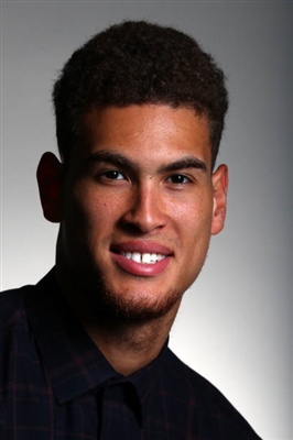Dwight Powell Poster 3438135