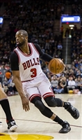 Dwyane Wade Longsleeve T-shirt #3453764
