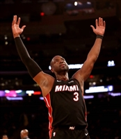 Dwyane Wade mug #G1697216
