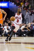 Dwyane Wade mug #G1697296