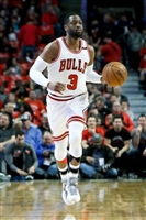 Dwyane Wade mug #G1697394