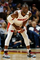 Dwyane Wade Longsleeve T-shirt #3453975