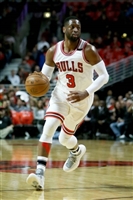 Dwyane Wade Longsleeve T-shirt #3454013