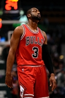 Dwyane Wade Longsleeve T-shirt #3454204
